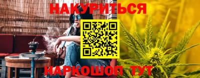 гашик Дубна