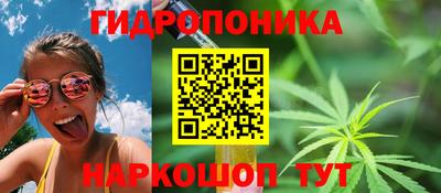 гашик Дубна