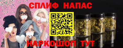 спиды Донской