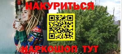 гашик Дубна