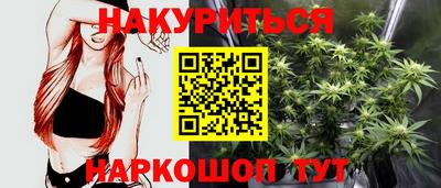 спиды Донской