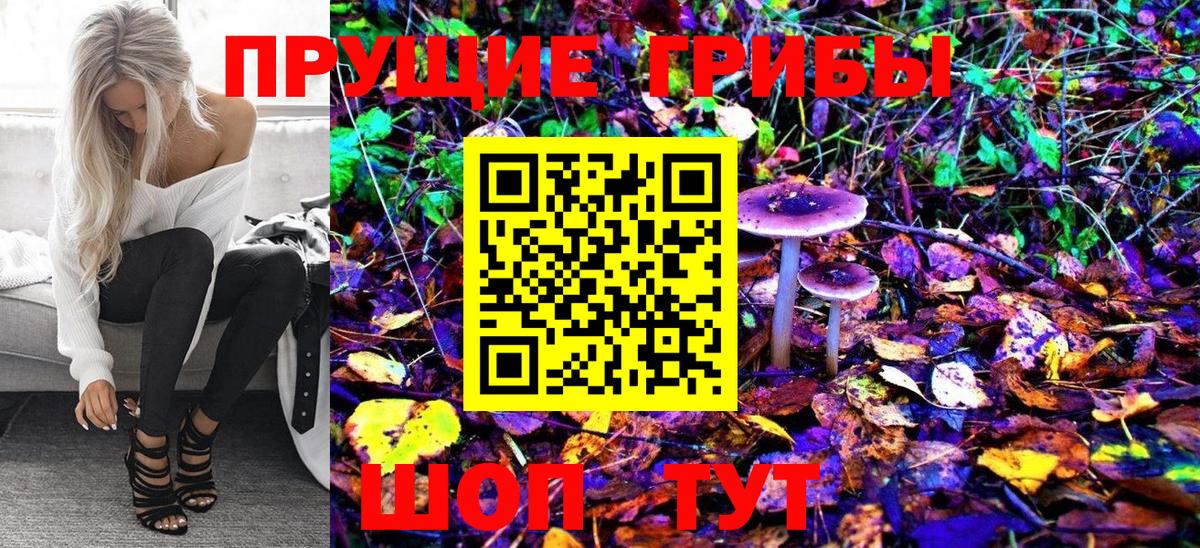 Мелеуз  Галлюциногенные грибы Cubensis  Вход с VPN  Псилоцибиновые грибы GOLDEN TEACHER 